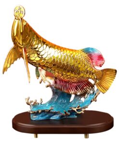 Cá rồng ngậm tiền vàng cao 34cm nặng 3,2kg