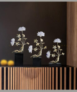 Cây nhân sâm mạ vàng