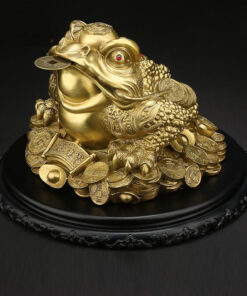 Cóc thiềm thừ 3 chân