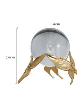 Mô hình điệp trắng