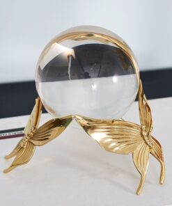 Mô hình điệp trắng