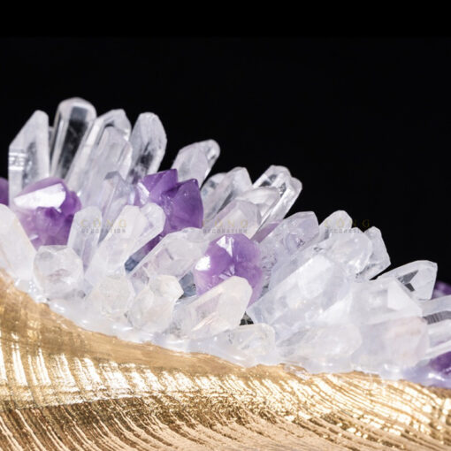 oc bien bang dong (3) Ốc biển gắn đá thạch anh cao cấp