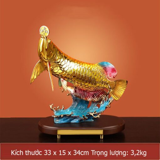 Cá rồng ngậm tiền vàng cao 34cm nặng 3,2kg Cá rồng ngậm tiền vàng cao 34cm nặng 3,2kg