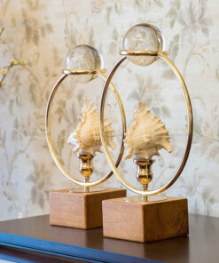 Decor ốc xà cừ trang trí