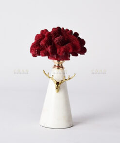 San hô đỏ trang trí