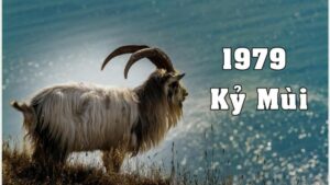qua tang sep sinh nam 1979