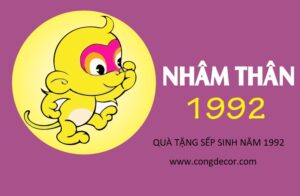 qua tang sep sinh nam 1992