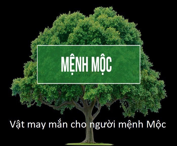 Top 5 đồ vật phong thủy đem may mắn dành cho người mệnh Mộc