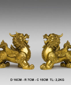 mau 2 tuong ty huu phong thuy bang dong