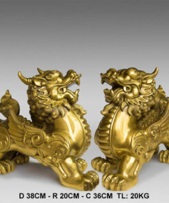 mau 5 tuong ty huu bang dong dep