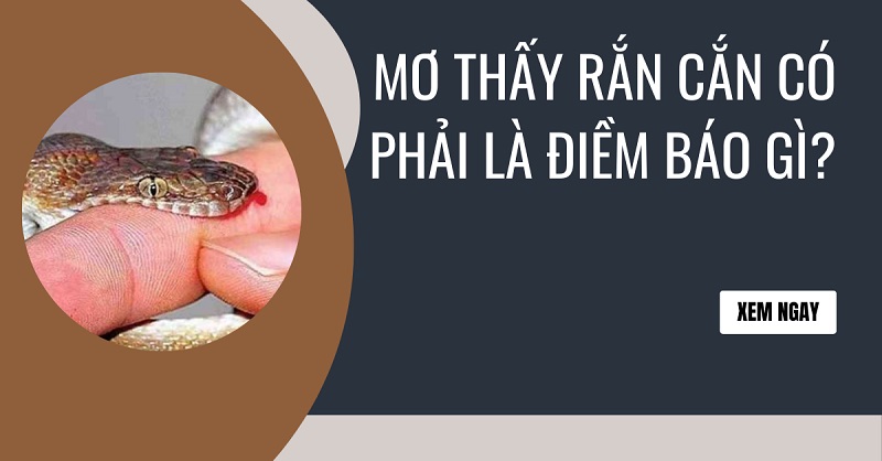 Nằm mơ thấy bị rắn cắn là điềm báo gì