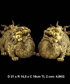 ty huu thien loc bung to mong to bang dong