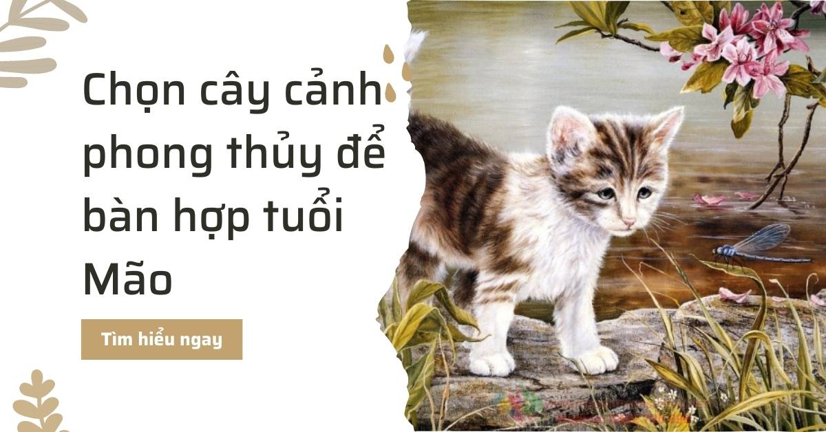 Tuổi Mão hợp cây gì? Chọn cây phong thủy để bàn hợp nhất với tuổi Mão