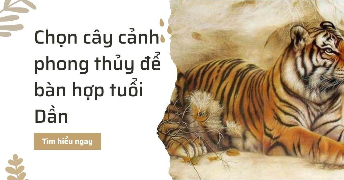 Cây cảnh phong thủy để bàn làm việc hợp tuổi dần