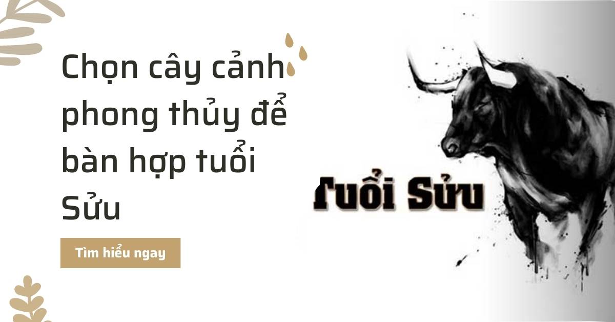 Hướng dẫn chọn cây cảnh phong thủy để bàn hợp tuổi sửu