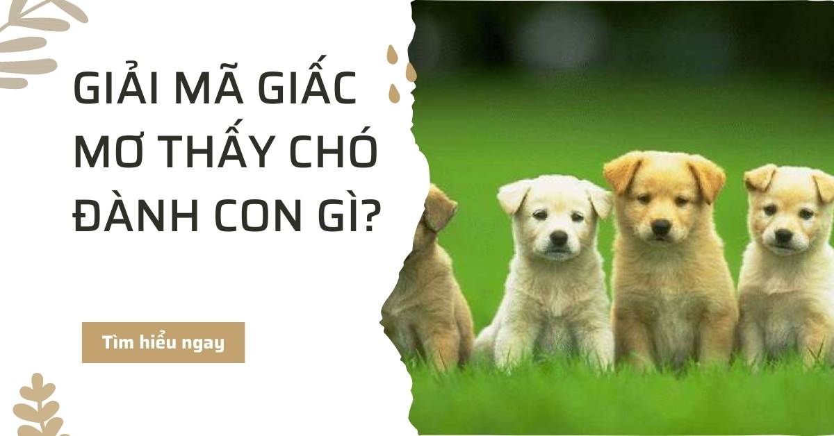 giải mã giấc mơ thấy chó đánh con gì