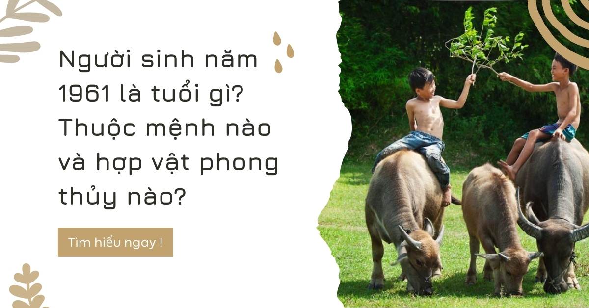 Người sinh năm 1961 tuổi gì mệnh gì ?