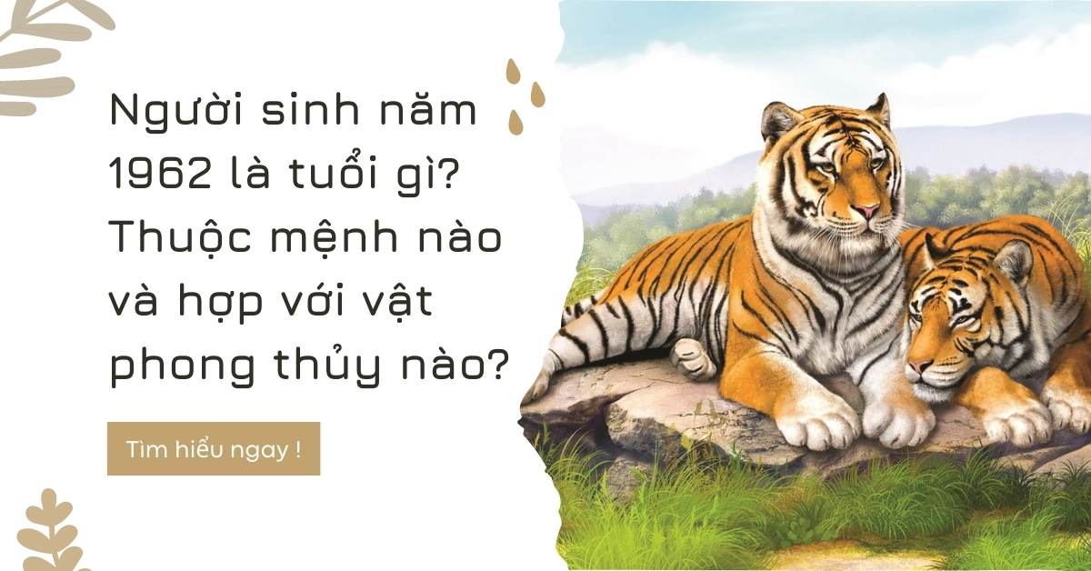 Người sinh năm 1962 là tuổi gì? Thuộc mệnh nào và hợp với vật phong thủy nào?