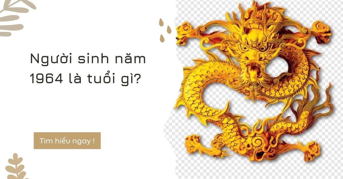 Người sinh năm 1964 tuổi gì mệnh gì