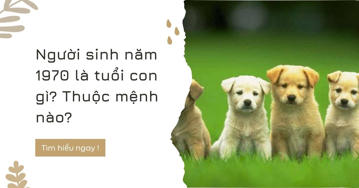 Người sinh năm 1970 là tuổi gì? Thuộc mệnh gì và hợp vật phong thủy nào?