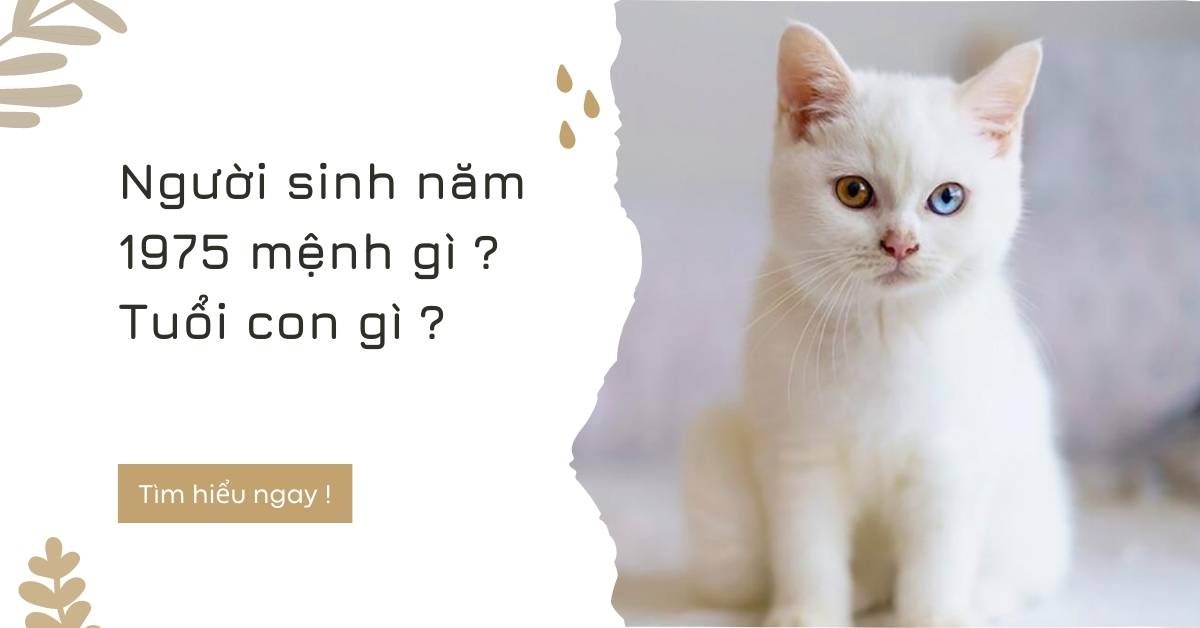 Người sinh năm 1975 mệnh gì ? tuổi con gì ?