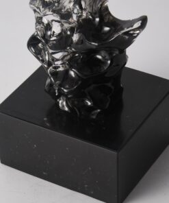 Decor chuồn chuồn trên đá