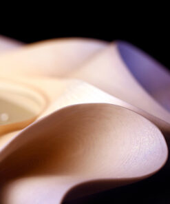 Đồng hồ treo tường bông hoa