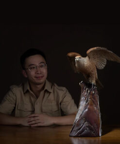 Cửa hàng bán tượng đại bàng đẹp giá rẻ bằng đồng