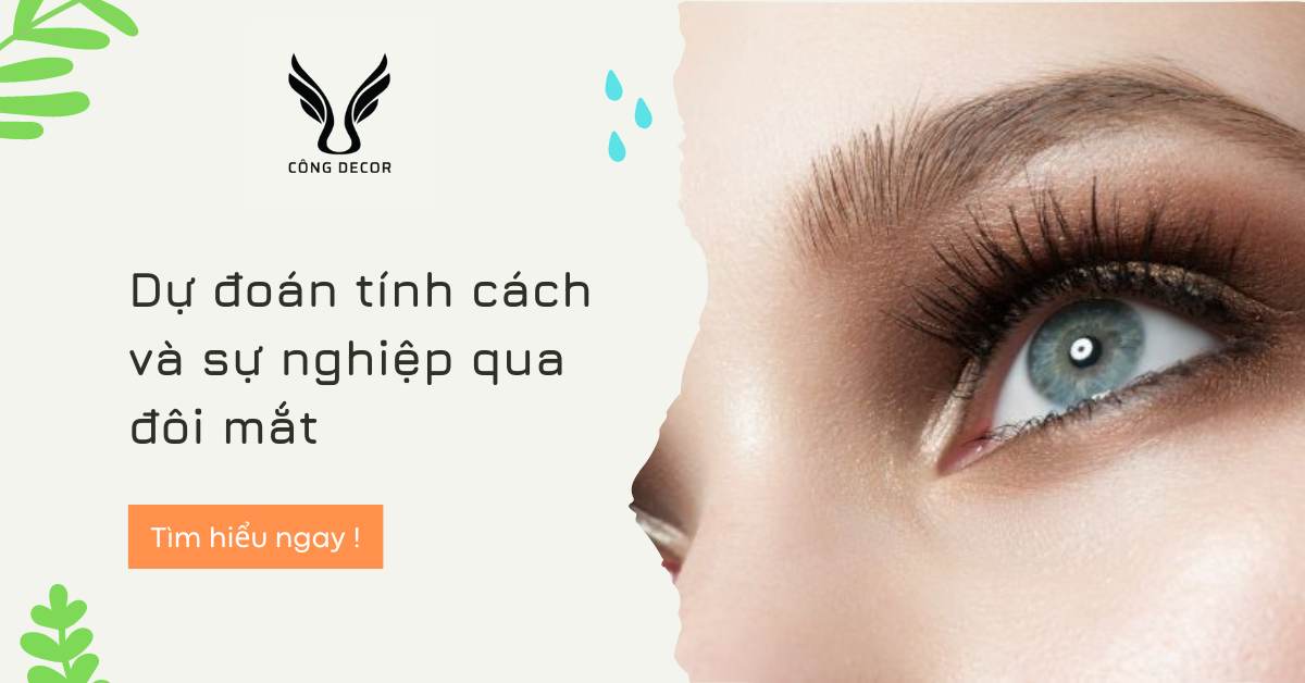 Dự đoán tính cách và sự nghiệp qua đôi mắt