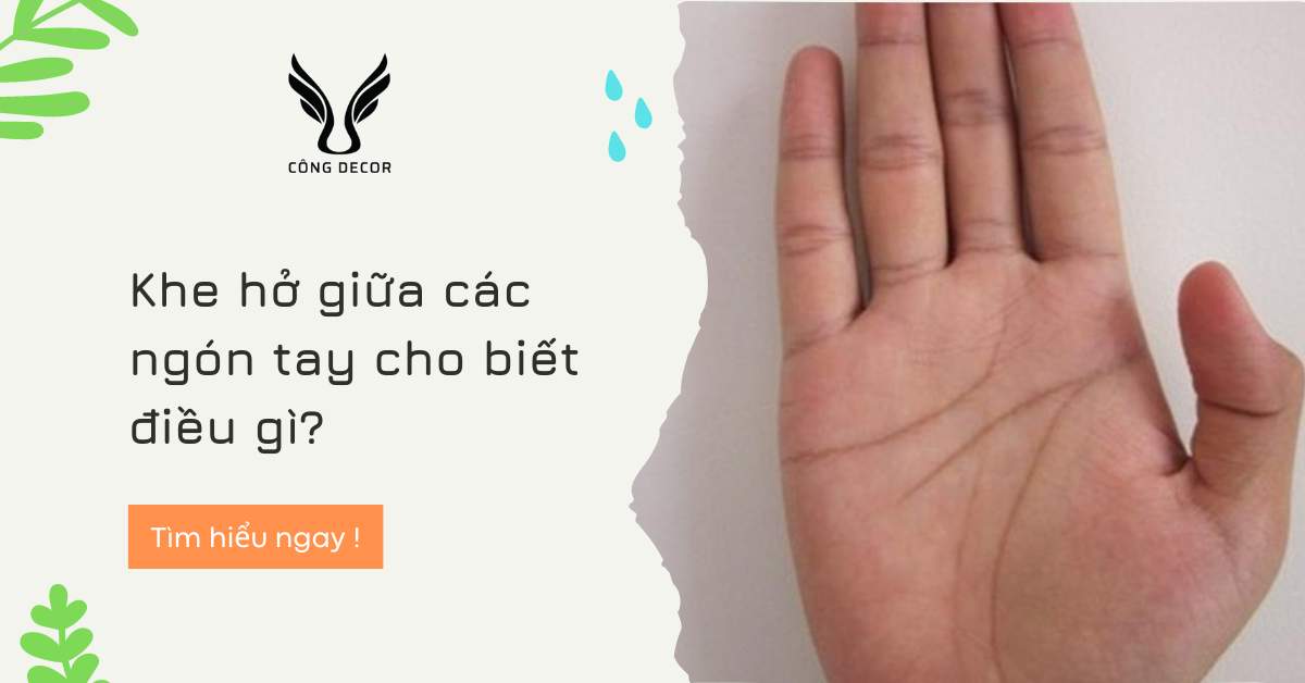 Khe hở giữa các ngón tay cho biết điều gì?