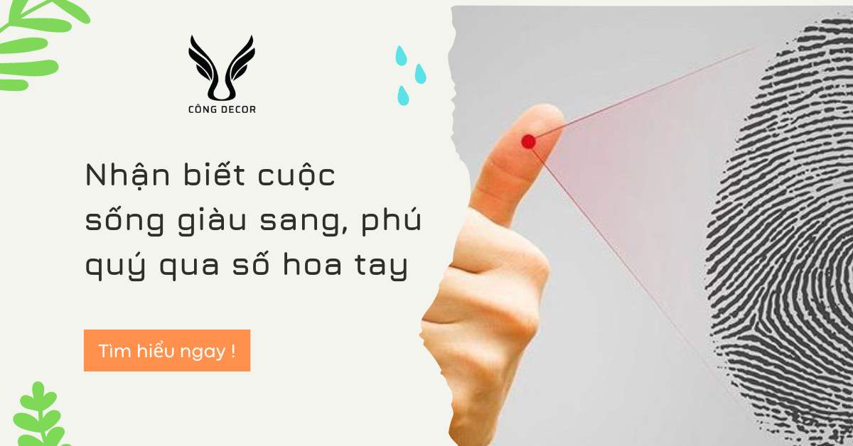 Nhận biết cuộc sống giàu sang, phú quý qua số hoa tay