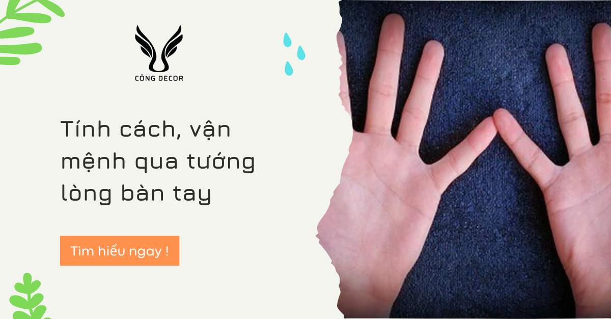 Tính cách, vận mệnh qua tướng lòng bàn tay