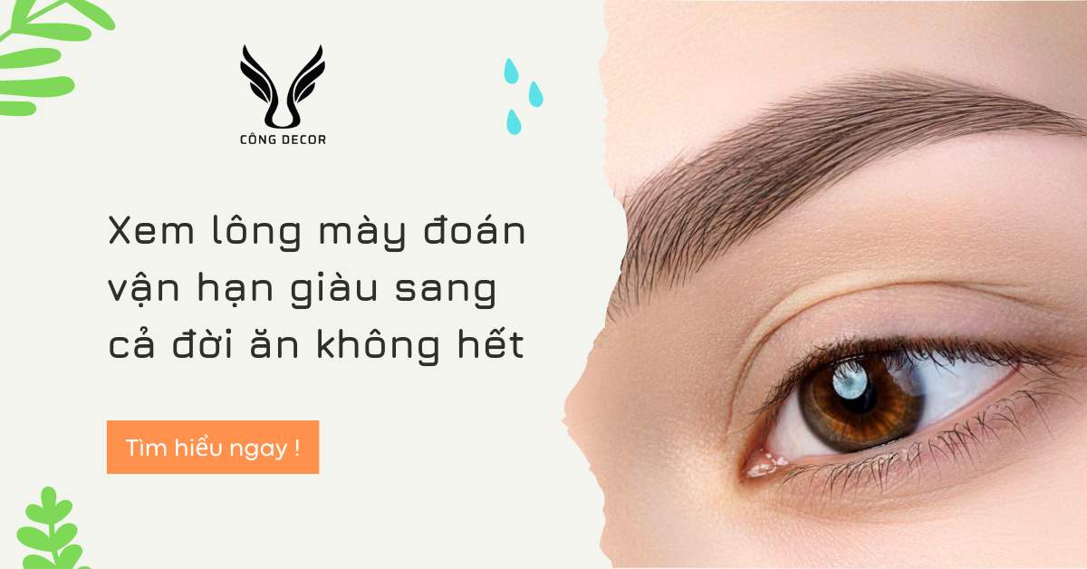 Xem lông mày đoán vận hạn giàu sang cả đời ăn không hết