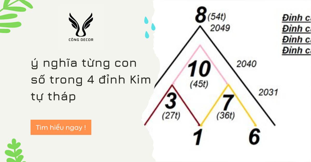 Tất tần tật về Biểu đồ Kim Tự Tháp thần số học mà bạn nên biết