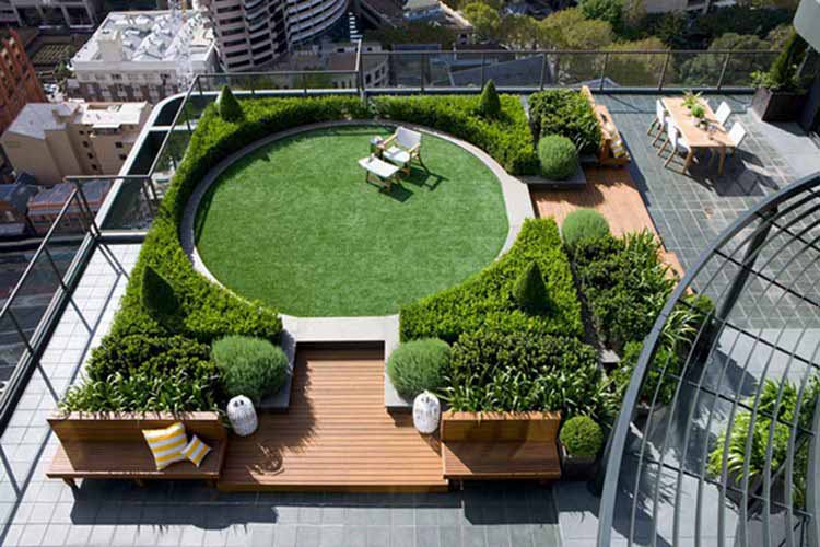 Thiết kế vườn cây xanh trên sân thượng