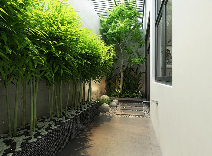 Mẫu thiết kế cây cảnh trồng sát tường sân vườn