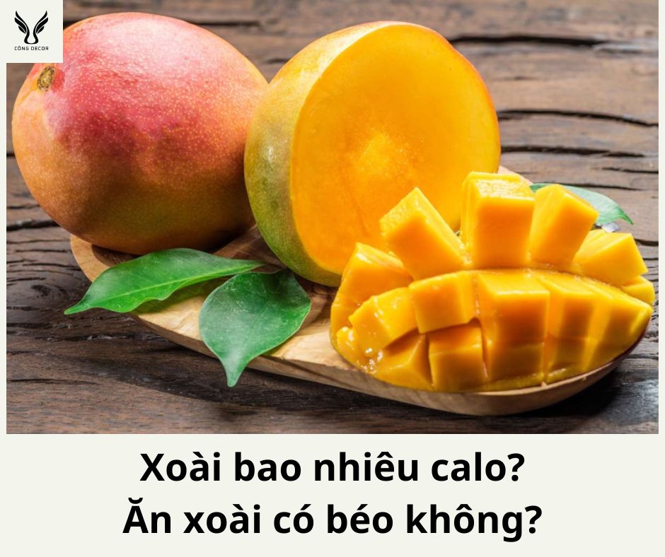 Xoài bao nhiêu calo? Xoài xanh bao nhiêu calo? Ăn xoài có béo và nóng không? Các món ngon từ xoài