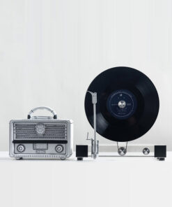 Mô hình đĩa than Vinyl trang trí