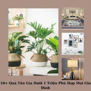 10 Quà Tân Gia Dưới 1 Triệu Phù Hợp Mọi Gia Đình
