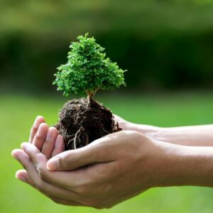 quà tân gia xanh xu hướng 2025