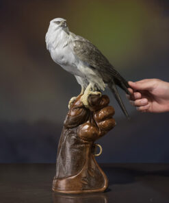 Tượng Đại Bàng Chinh Phục Đỉnh Cao