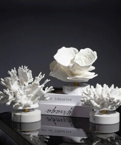 Mô Hình San Hô Hiện Đại Nghệ Thuật