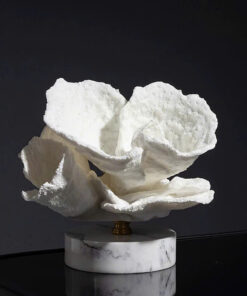 Mô Hình San Hô Hiện Đại Nghệ Thuật