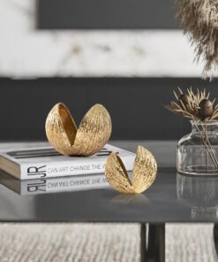 Mô Hình Vỏ Hạt Vàng Độc Đáo