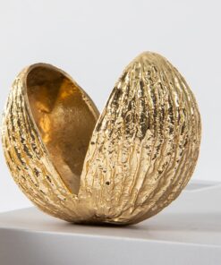 Mô Hình Vỏ Hạt Vàng Độc Đáo