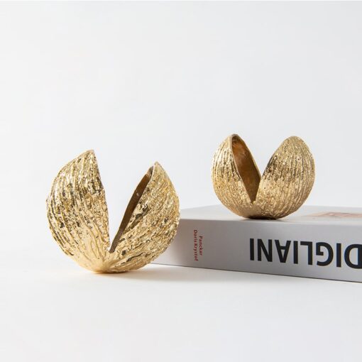 Mô Hình Vỏ Hạt Vàng Độc Đáo Mô Hình Vỏ Hạt Vàng Độc Đáo