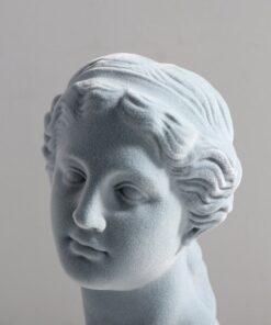 Tượng Bán Thân Nhà Triết Gia Đương Đại