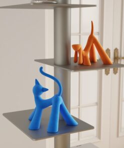 Cặp Mèo Tinh Nghịch Đáng Yêu