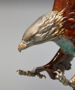 Đại Bàng Tầm Nhìn Thịnh Vượng