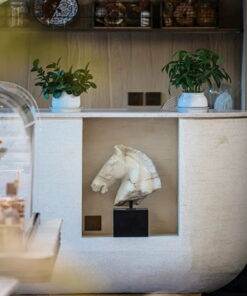 Tượng Đầu Ngựa Vân Đá Nghệ Thuật